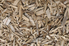 biomass boilers Buccleuch
